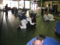 Guga_3-20-10_013